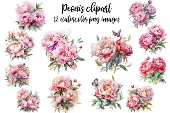 Peonis Clipart: Elevating Your Creative Projects with High-Quality Floral Design